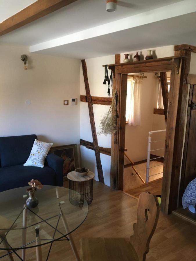 Le Petit Cocon Villa Dambach Kültér fotó